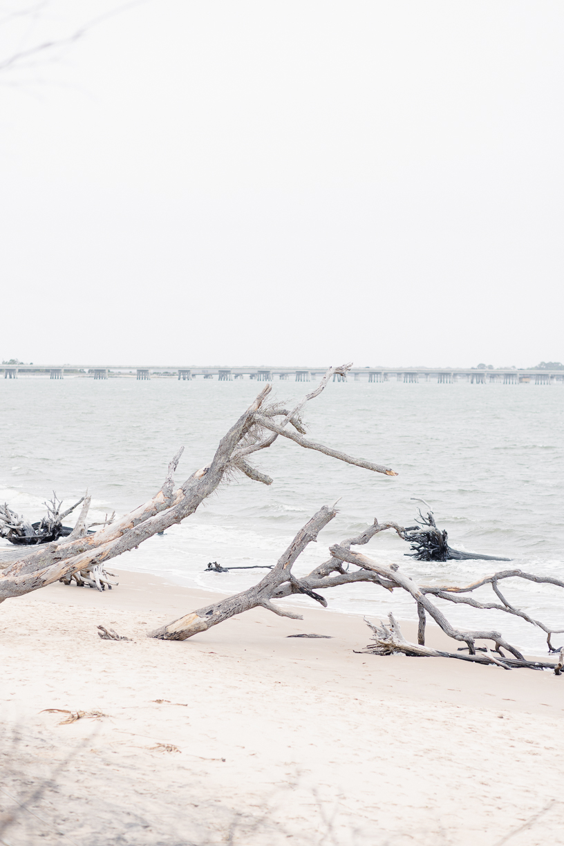 A serene beach scene with twisted driftwood scattered on pale sand, gentle waves lapping the shore, and a distant bridge under an overcast sky.