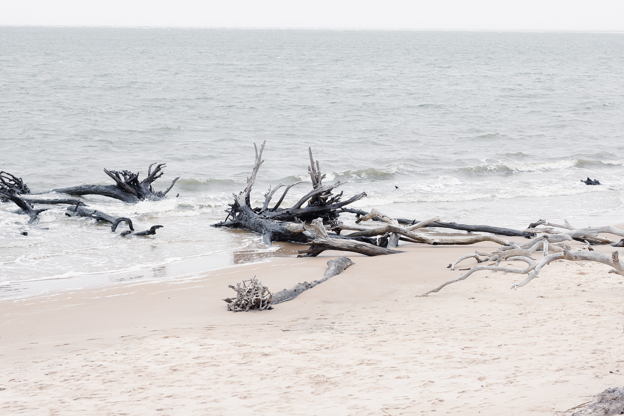 Couple portrait at Boneyard Beach Jacksonville