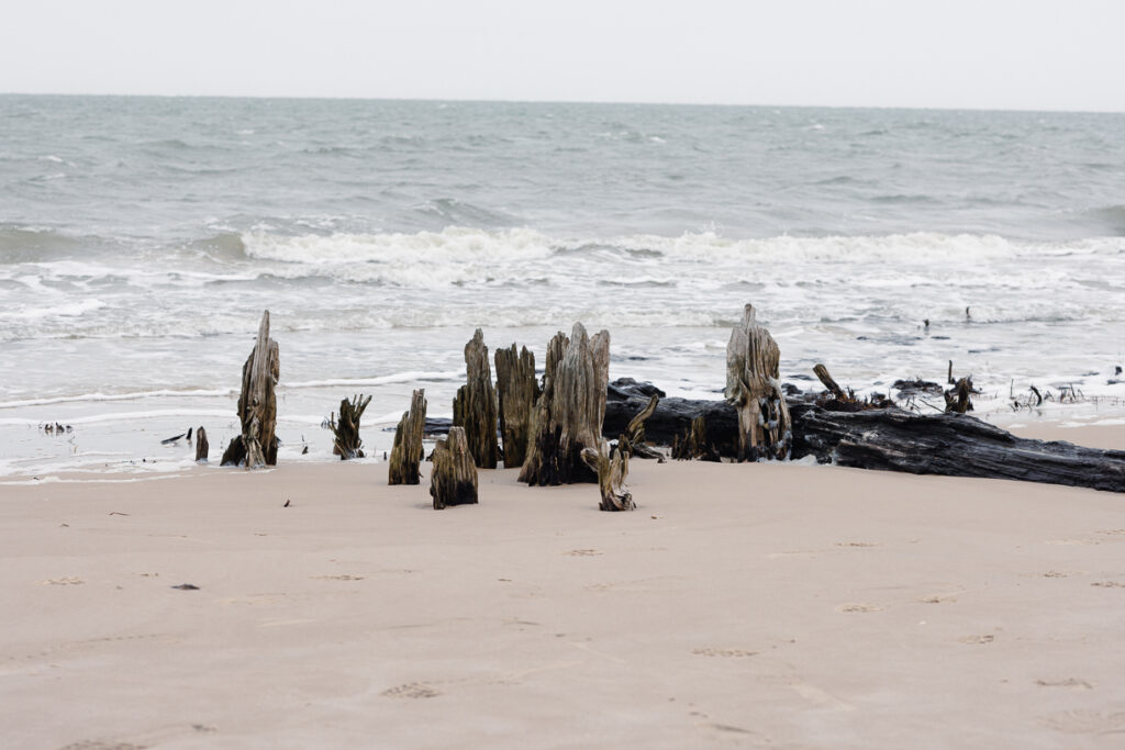 Worn wooden stumps emerge from sandy shores under an overcast sky. Waves gently crash in the background, creating a serene coastal scene.